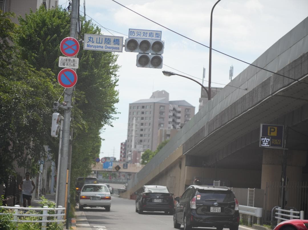 テスト済Trinol Anastigmat 105mm f3.5 Leica-L