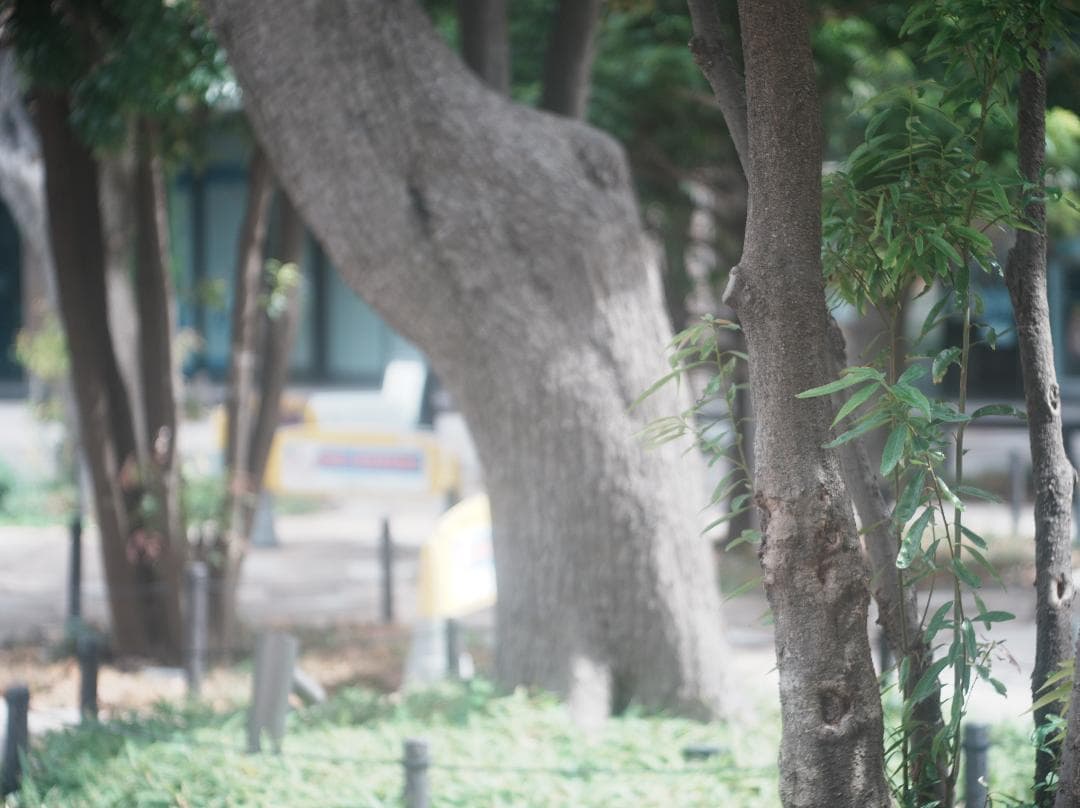 テスト済Trinol Anastigmat 105mm f3.5 Leica-L