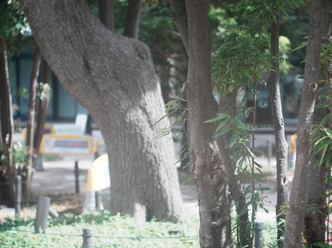 テスト済Trinol Anastigmat 105mm f3.5 Leica-L