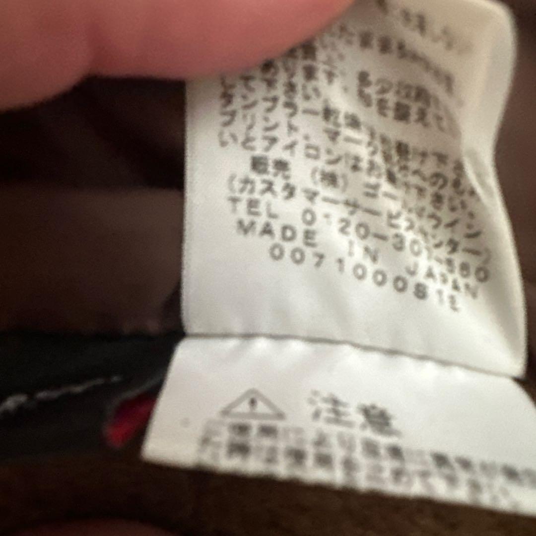 ノースフェイス パープルレーベル フリースベスト THE NORTH FACE