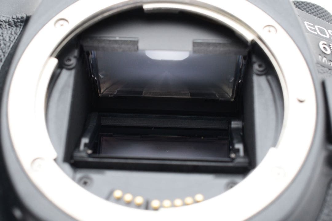 Canon EOS 6D Mark II標準&望遠ダブルレンズセット