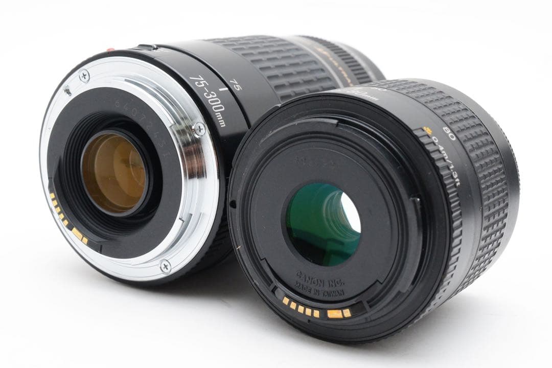 Canon EOS 6D Mark II標準&望遠ダブルレンズセット