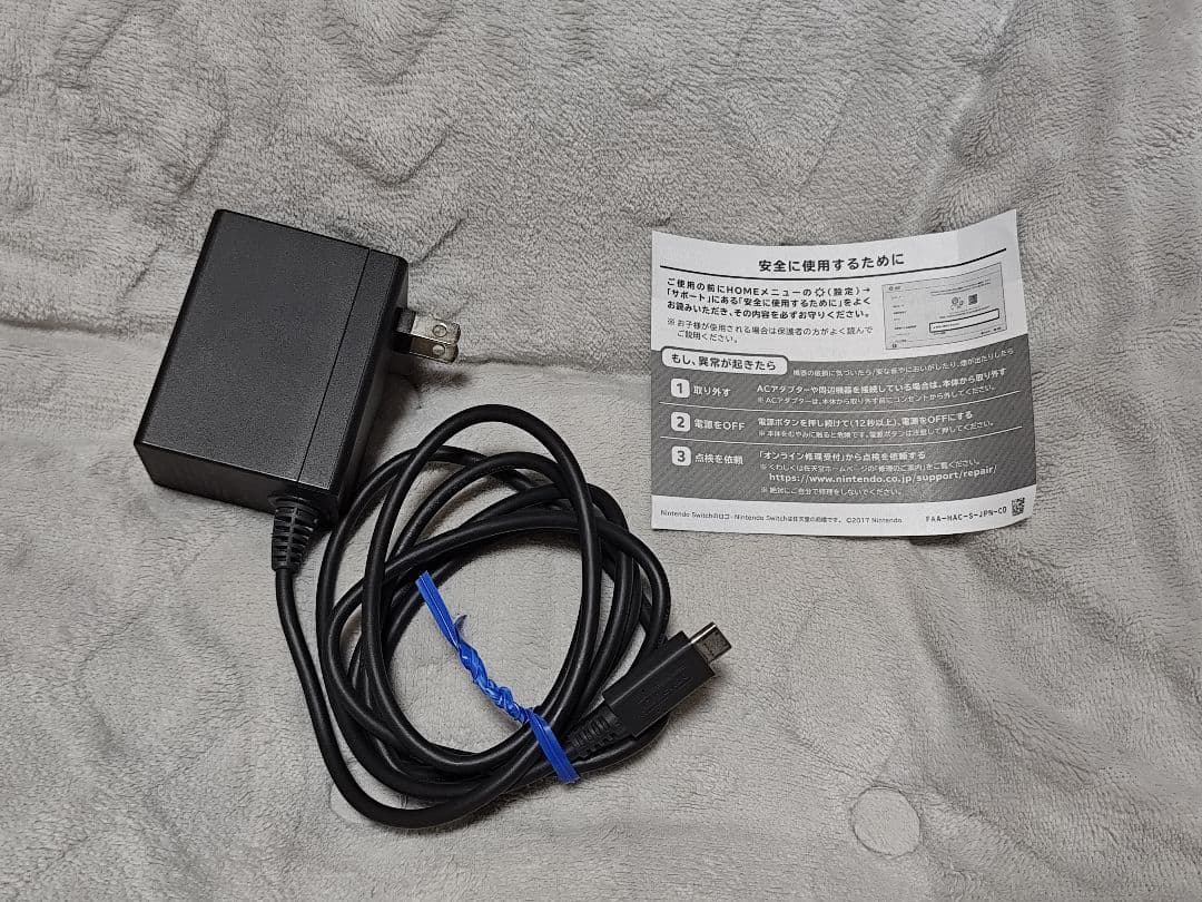 Nintendo Switch Lite ターコイズ 本体 + ケースなど