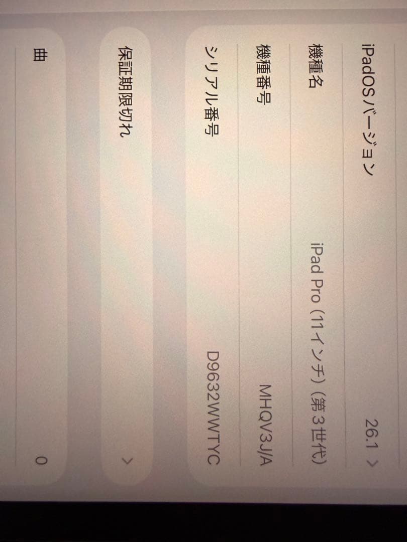 ipadpro11インチ シルバー 256GB