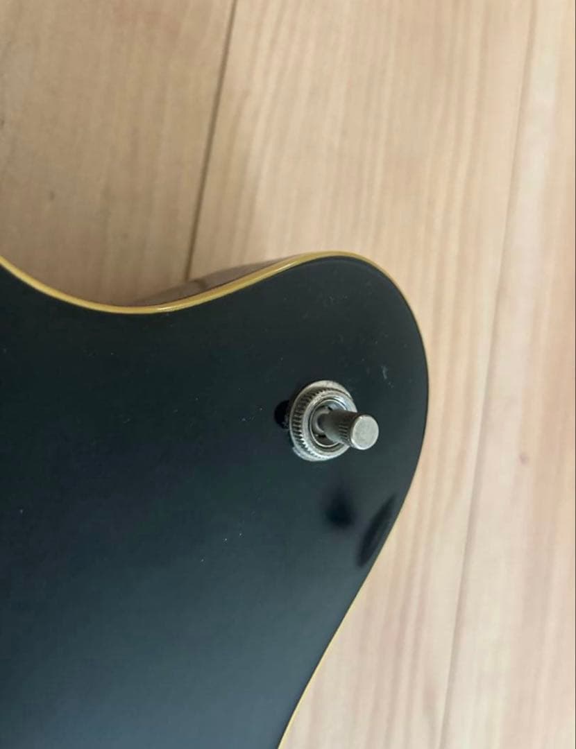 turkeyとなります。