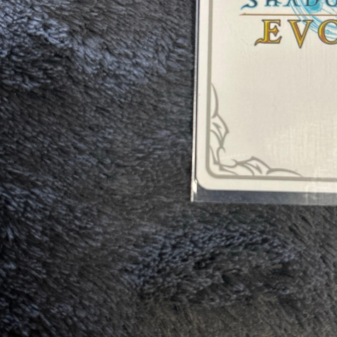 値下げ中‼️分かたれぬ恋・ミルティオ リーダー