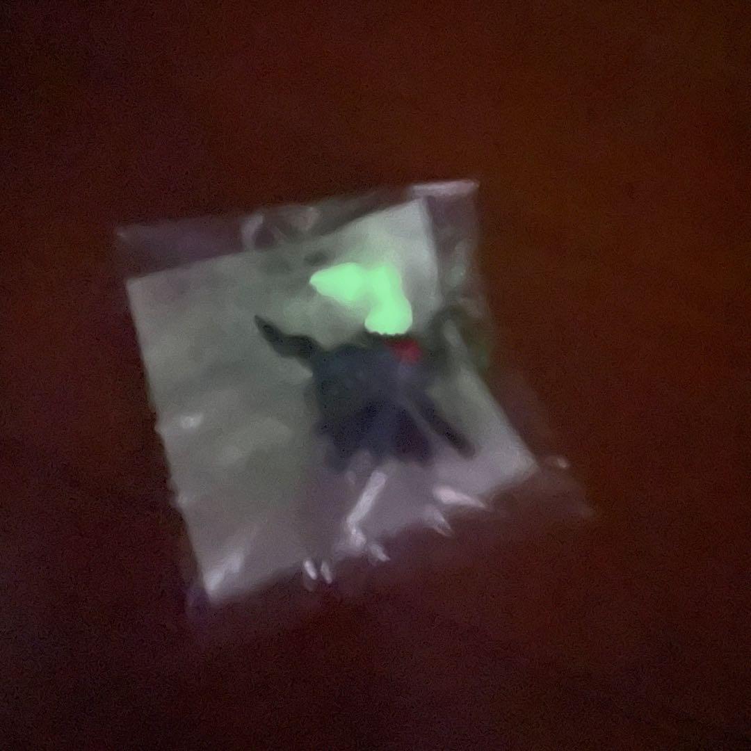 k*必様 ダークライ蓄光バージョンタカラトミーモンコレ限定品当選品ポケモン