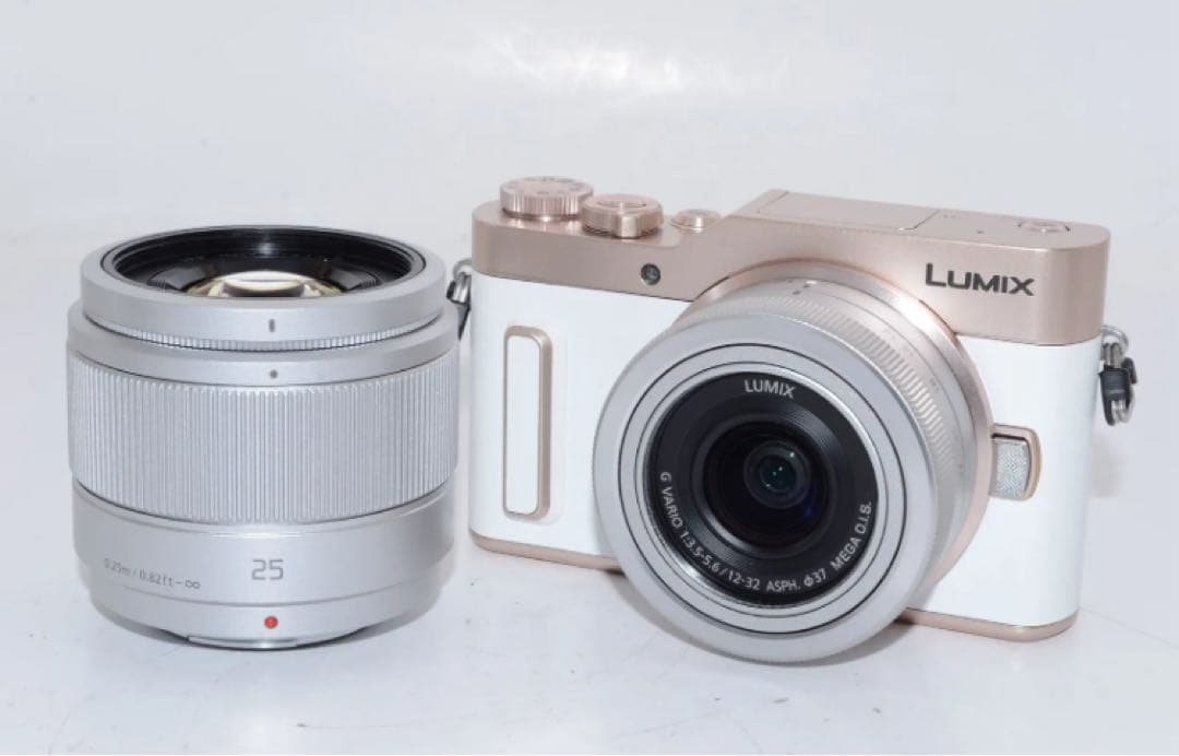 【クリスマス限定セール】 ダブルレンズ付DC-GF10W デジタル一眼レフカメラ