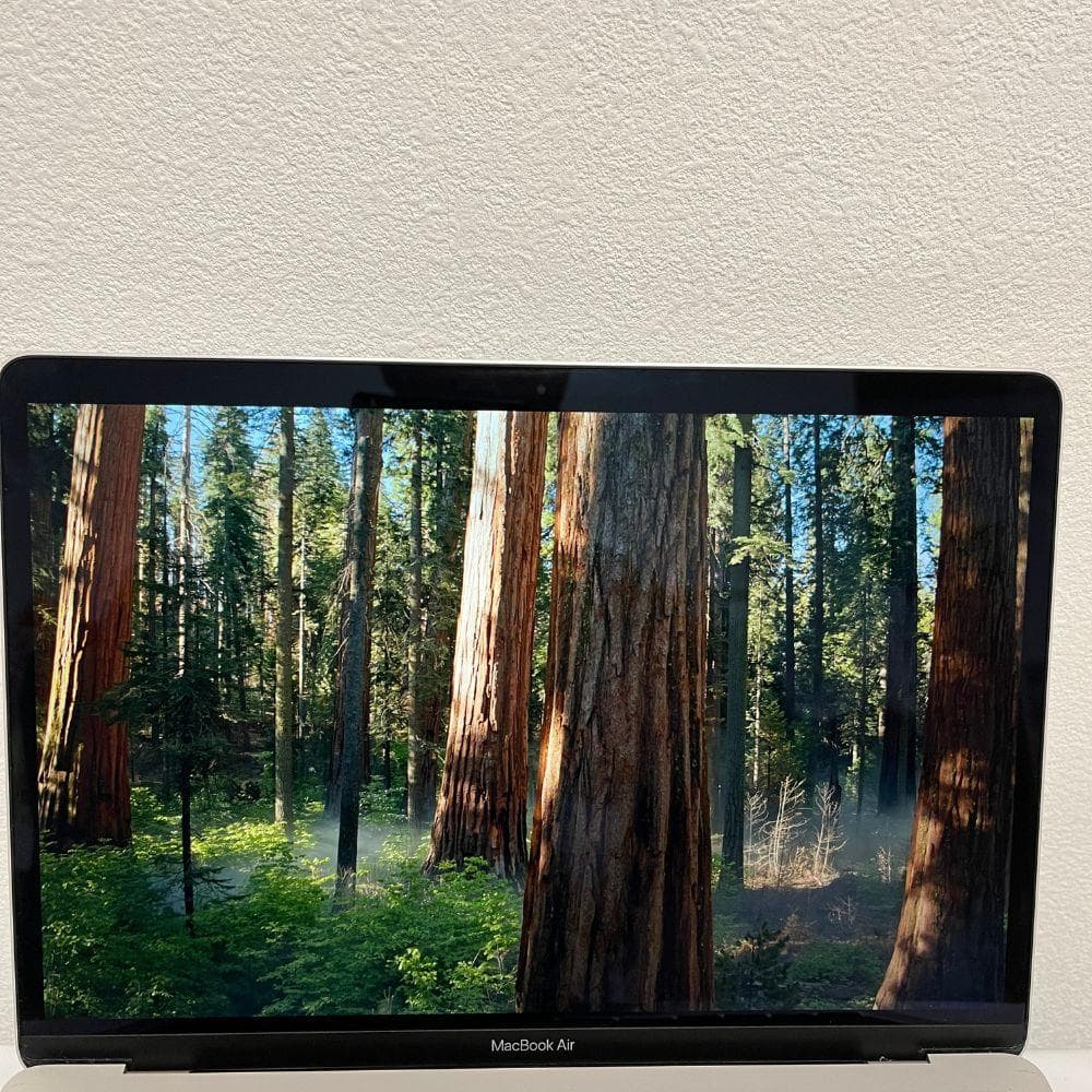 【美品/BT98%】MacBook Air M1 8GB 512GB シルバー