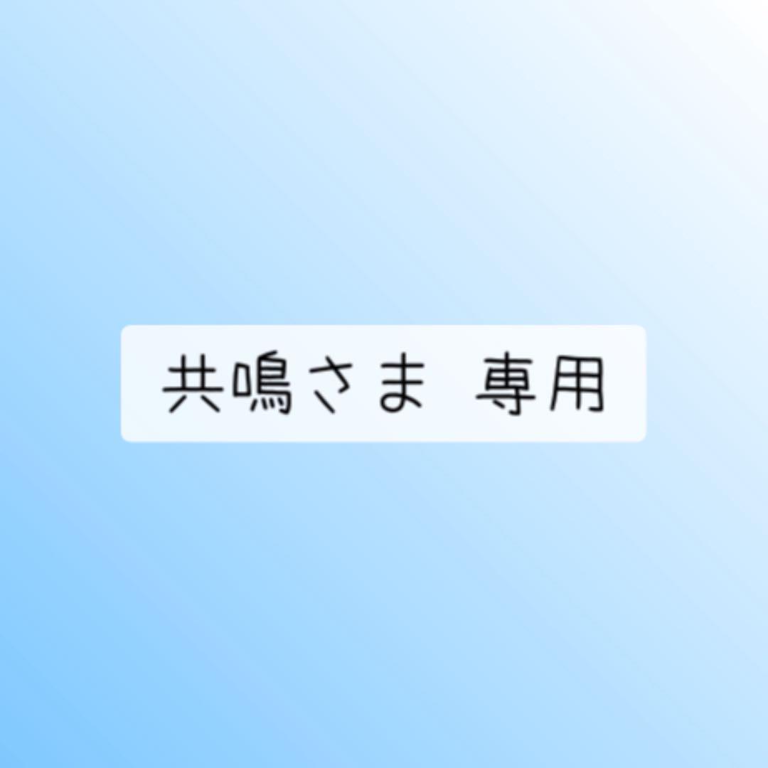 共鳴さま 専用