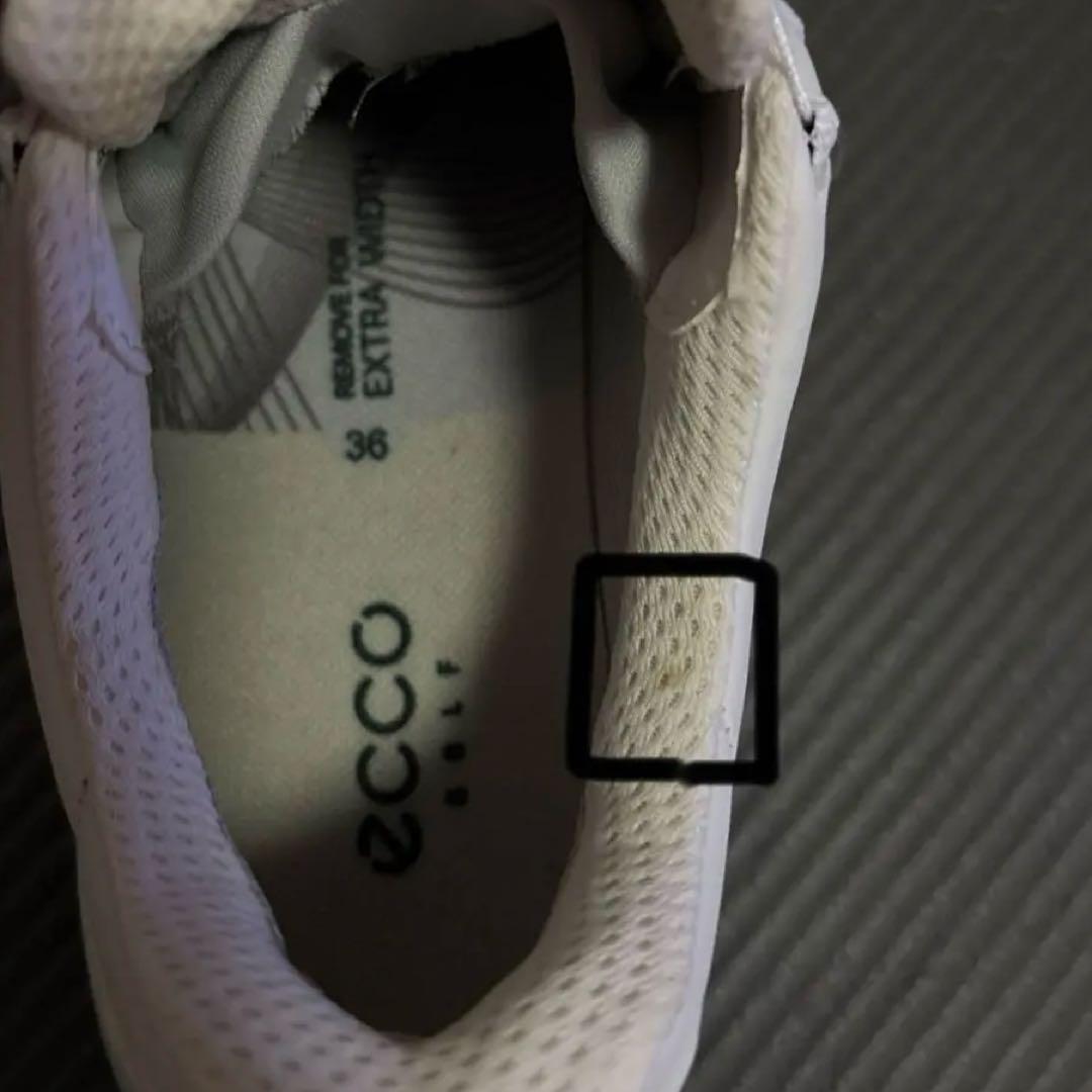 訳あり/未使用エコーゴルフ シューズ レディース ボア LT1 BOA