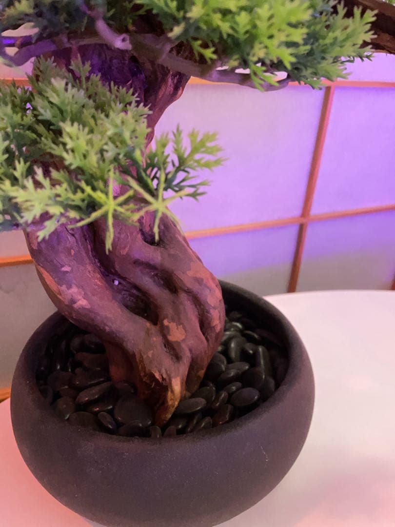 人工観葉植物 盆栽風 中型 緑