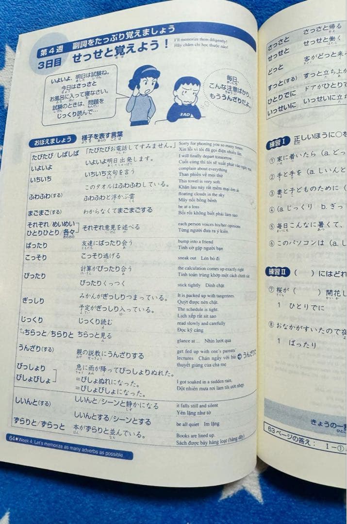 日本語総まとめN1-N2-N3-N4-N5（ベトナム語・英語版） 18冊セット