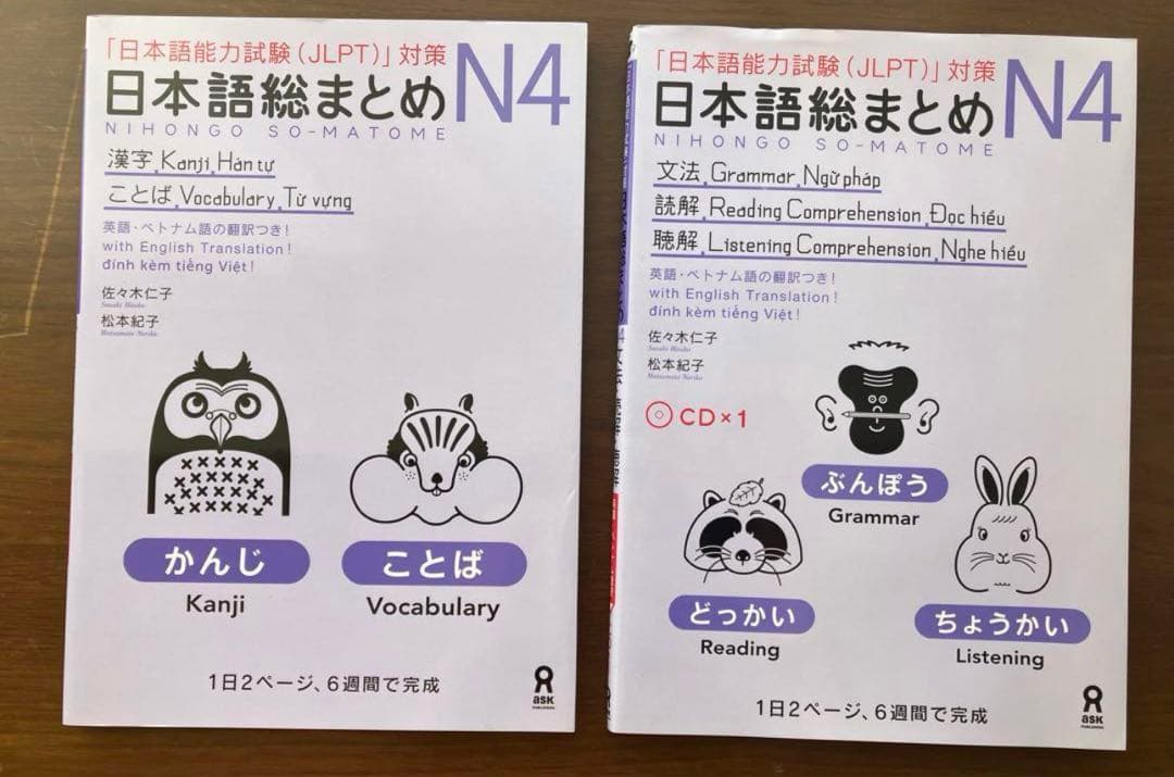 日本語総まとめN1-N2-N3-N4-N5（ベトナム語・英語版） 18冊セット