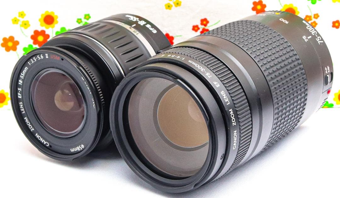 Canon kiss X2☆ダブルレンズ！初心者オススメ☆スマホ転送