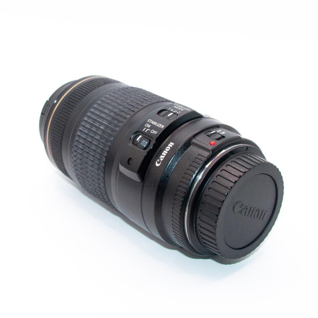 Canon ズームレンズ 70-300mm