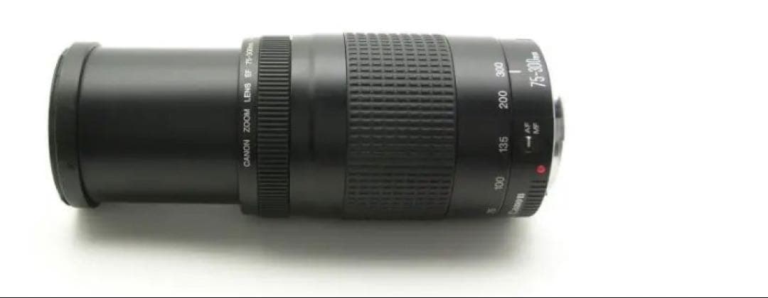スポーツ/イベント等/Canon EF75-300㎜F4-5.6 II