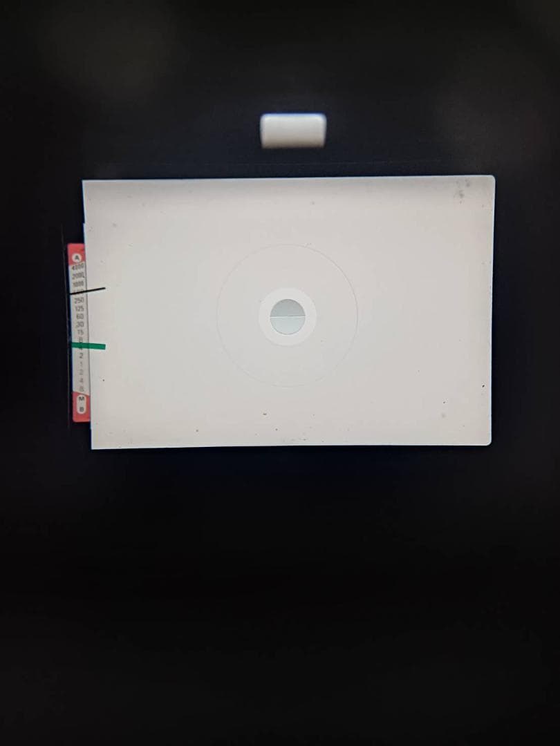 美品 NIKON FE2 シルバー フィルムカメラ モルト新品交換済 B770