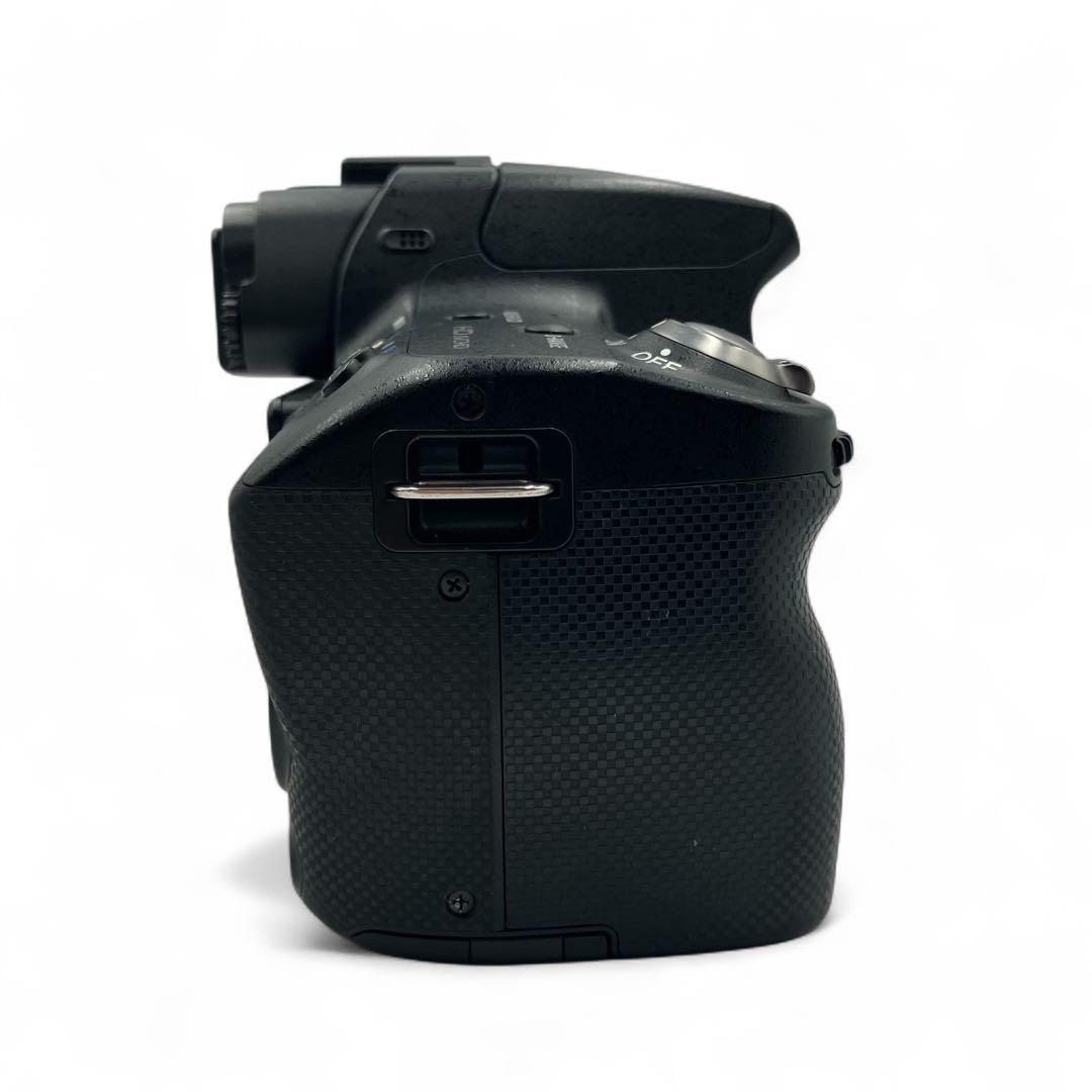 【美品】SONYα55 レンズ3本セット【SONY、SIGMA、MINOLTA】