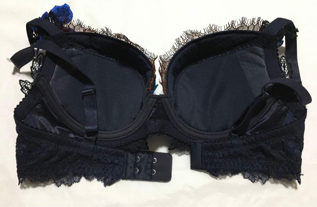 新品　ワコール　サルート 69G 店舗限定　ブラジャー E65 ソングM