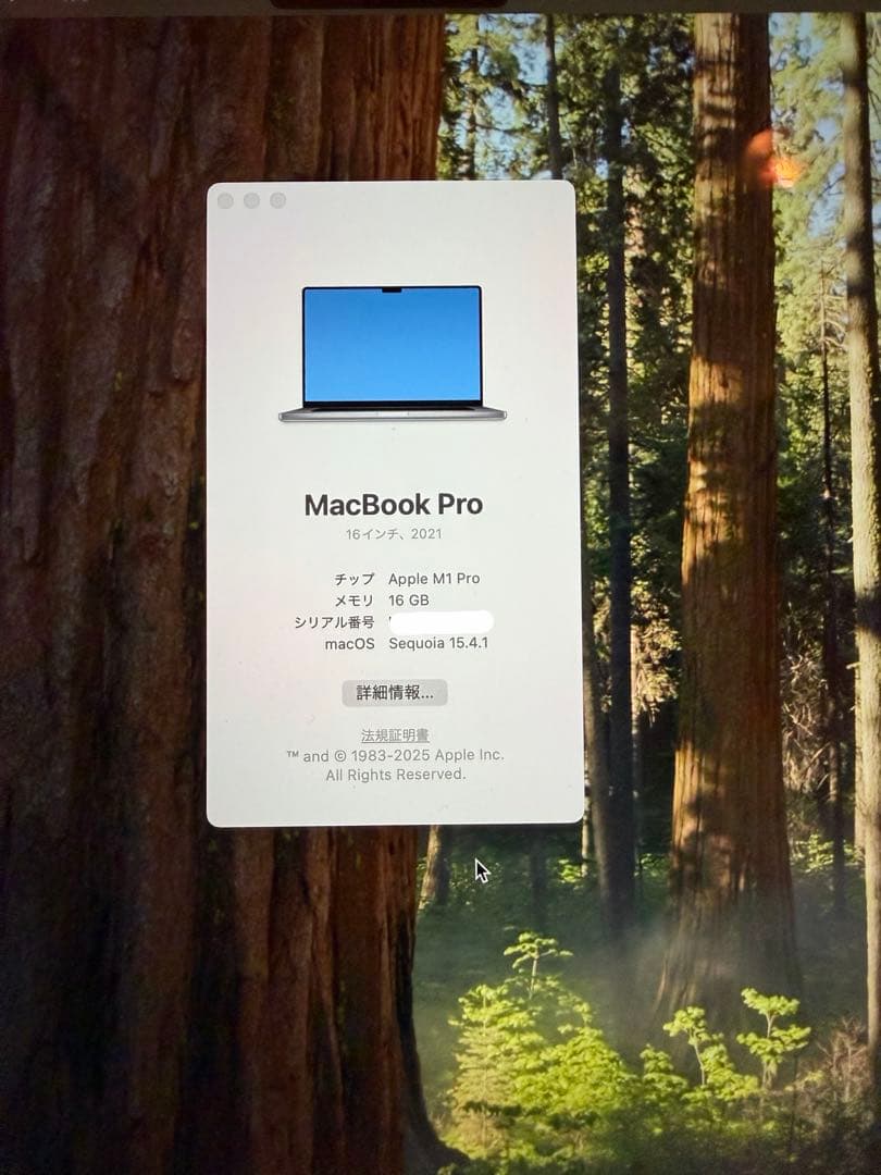 超美品 MacBook Pro 16インチ M1Pro