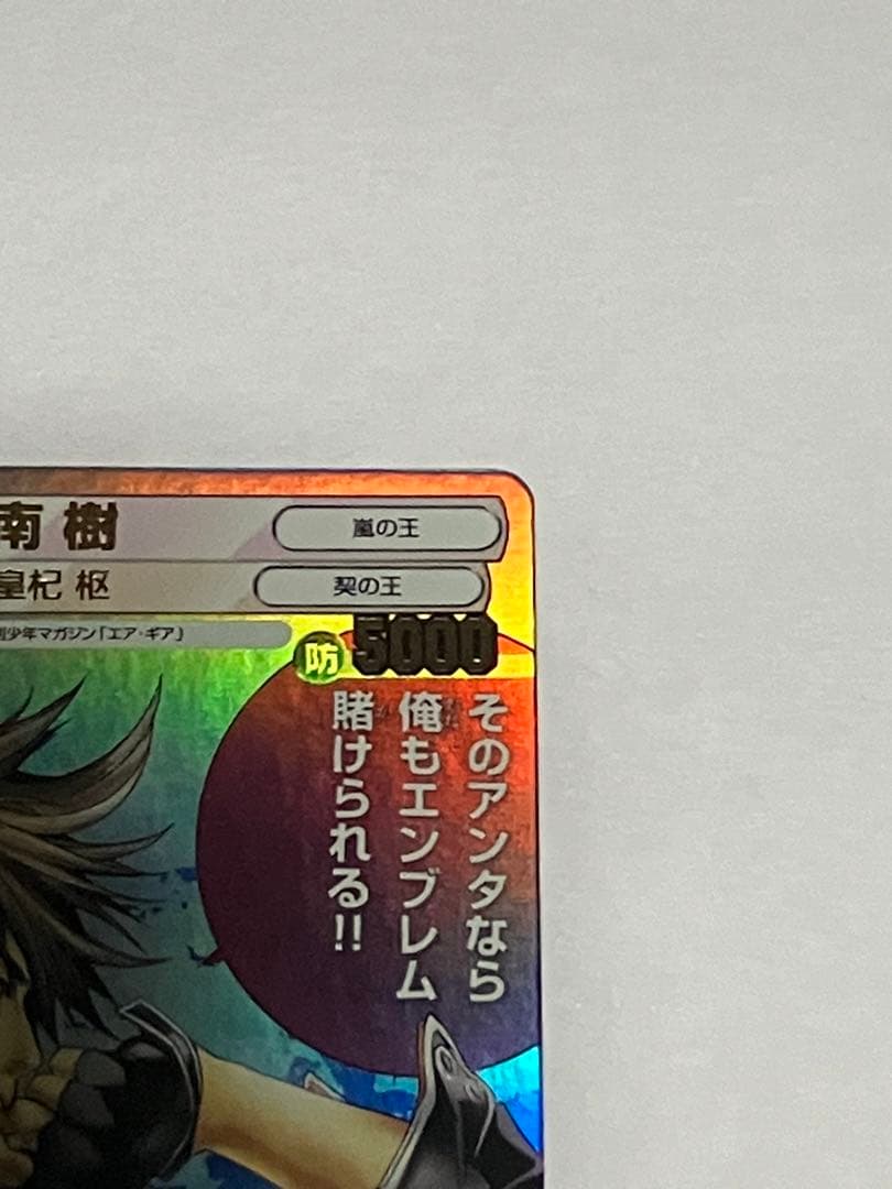 サンデーVSマガジン 【大暮維人 金サインカード】 南 樹