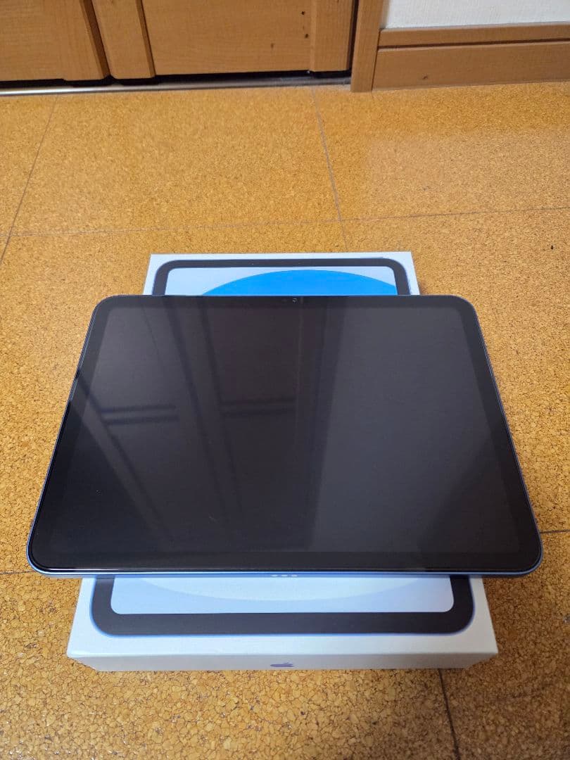 ipad （A16）第11世代 256GB　WiFiモデル　ブルー