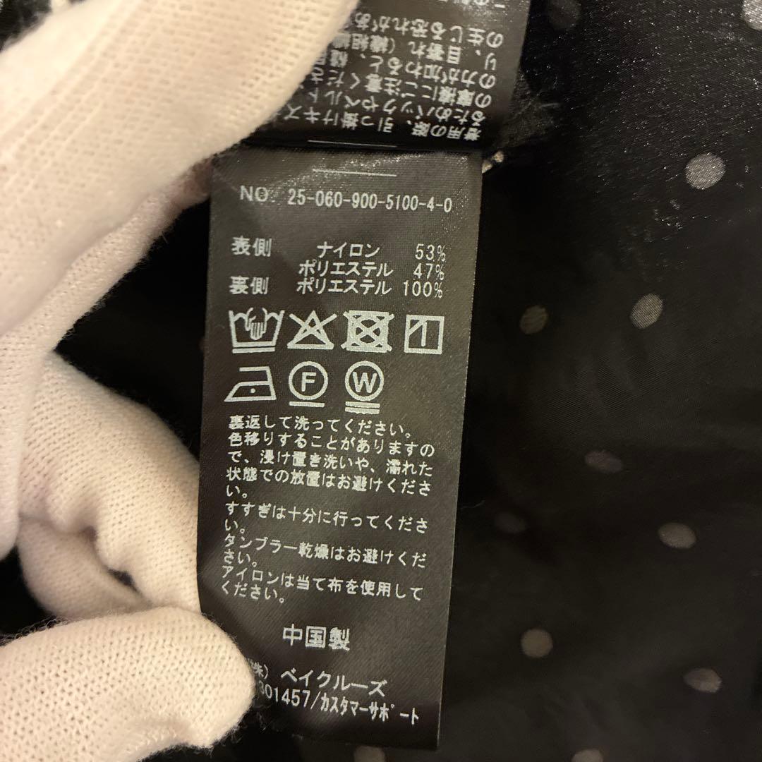 IENA イエナ オーガンジーレイヤードスカートドット