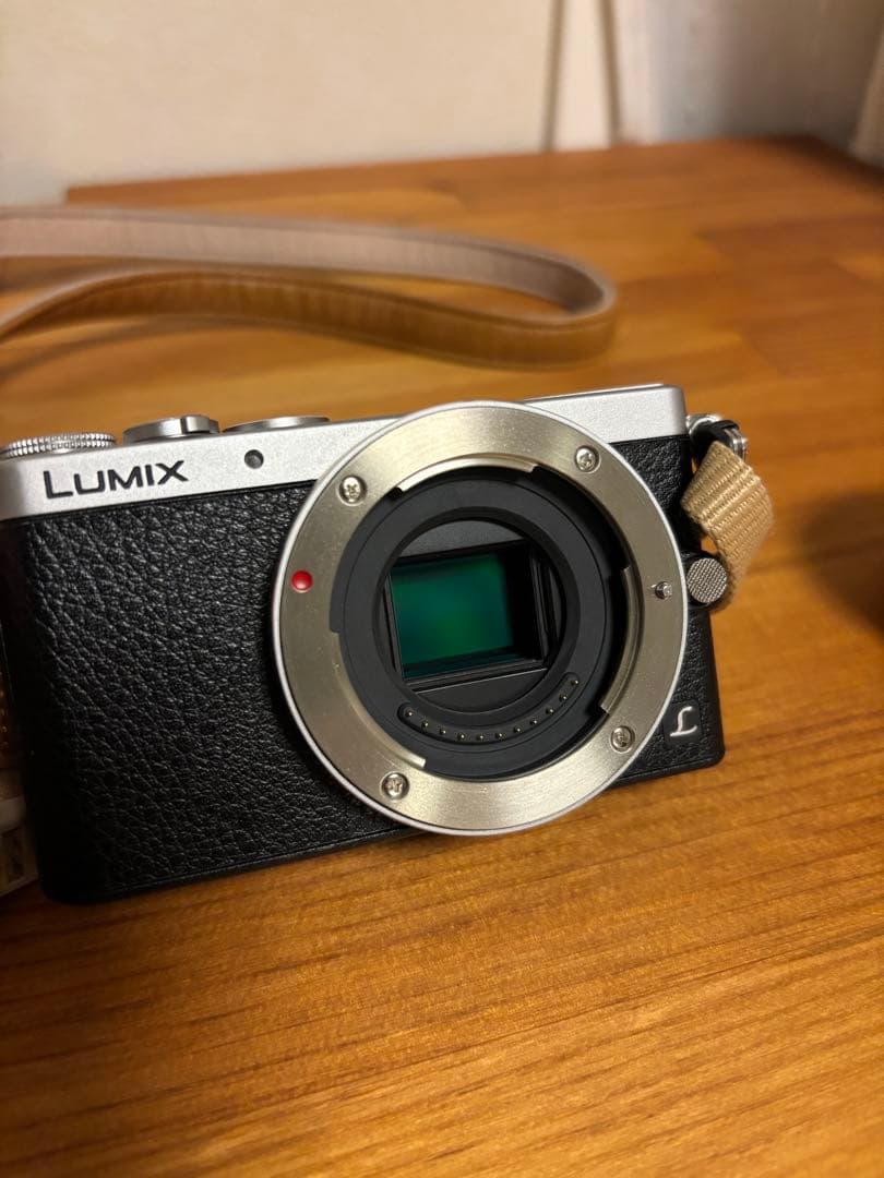 Panasonic デジタル一眼カメラ DMC-GM1K-S
