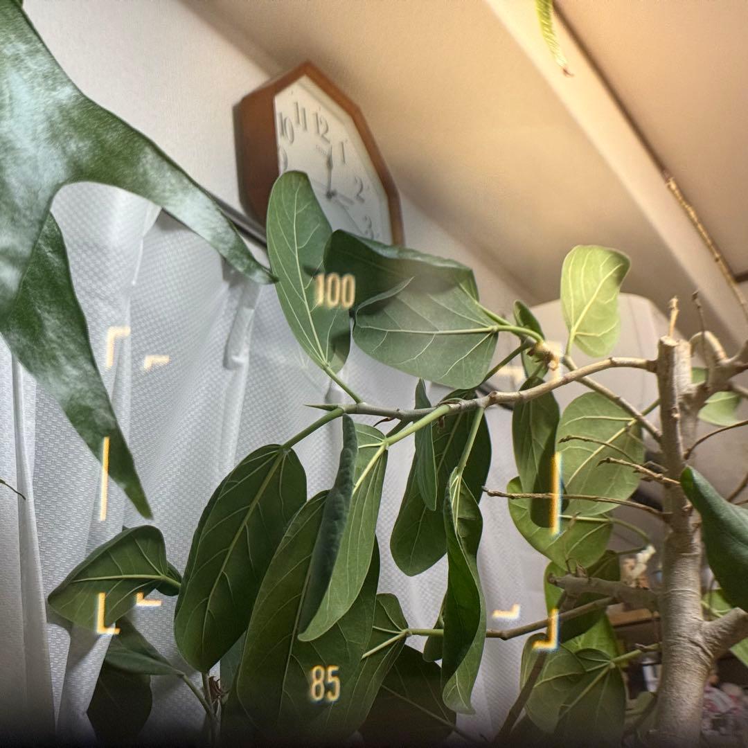 【動作品】Canon 7 MODEL キャノン ７ モデル Lマウント L39