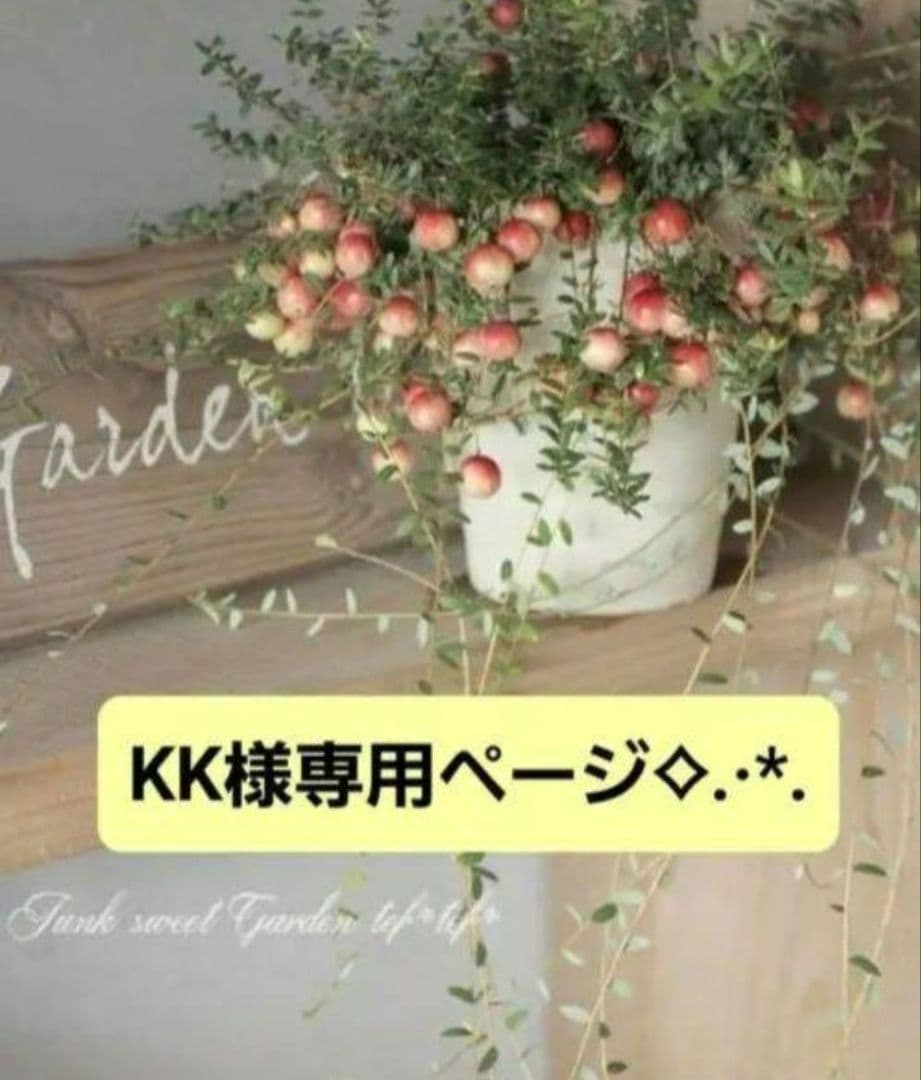 KKページです•ᴗ•ꕤ*