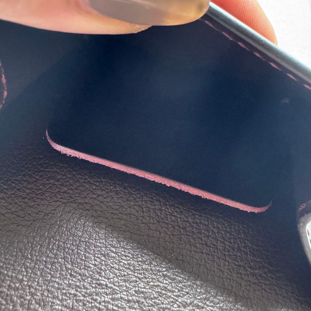 ワイルドスワンズ　小銭入れ　ロイドヴァッシュ・タング　新品