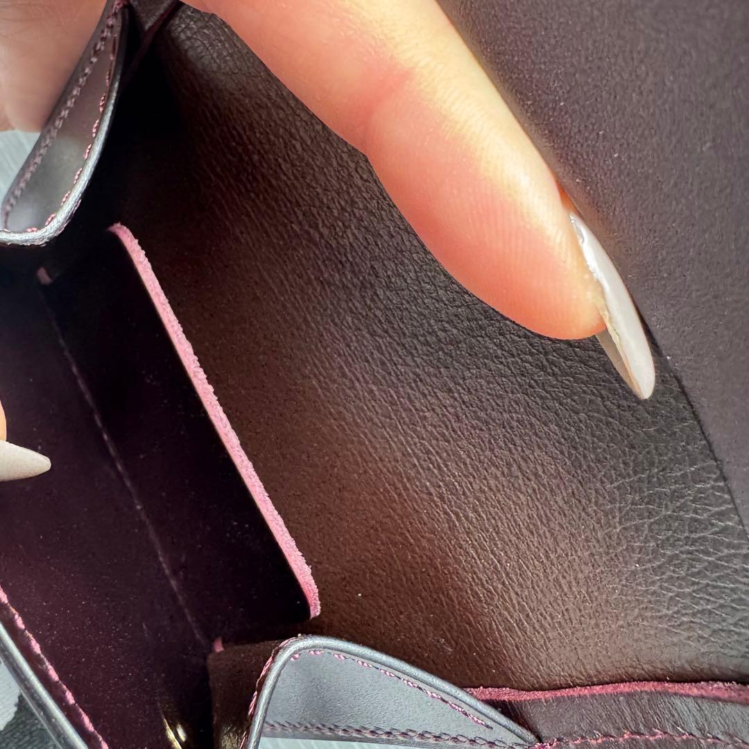 ワイルドスワンズ　小銭入れ　ロイドヴァッシュ・タング　新品