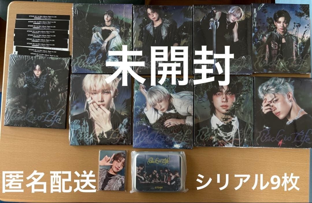 &TEAM Back to Life 9形態 シリアルナンバー カード CASE