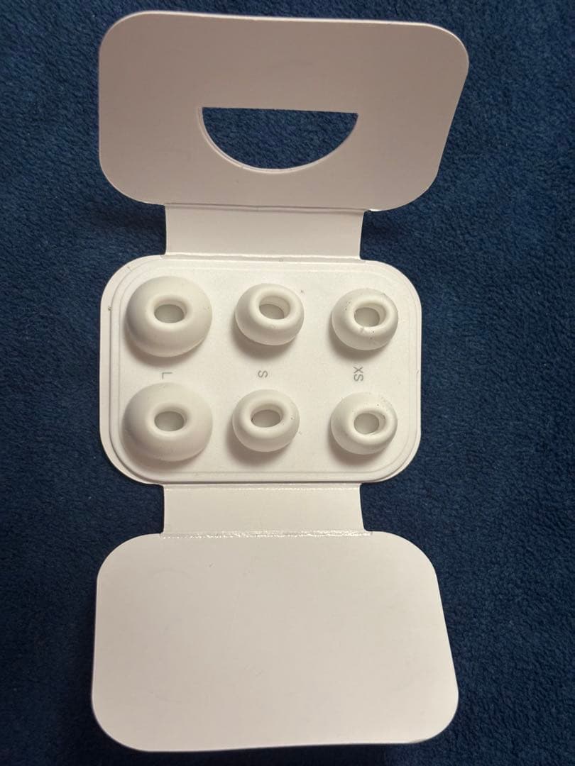 AirPods Pro (第2世代）lightning端子モデル 充電ケース付き