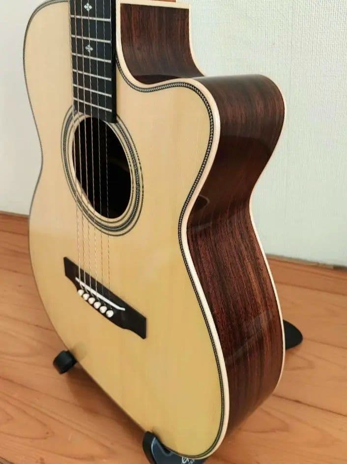 【限定特価】アストリアス ソロ ヘリンボーン セミハードケース+弦2セット