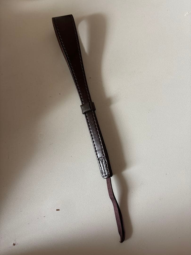 SONY VLOGCAM ZV-1M2 美品｜付属品完備｜バッテリー・ケース付き