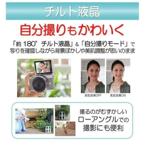 Canon ミラーレス一眼 EOS M100 ダブルレンズキット (グレー)