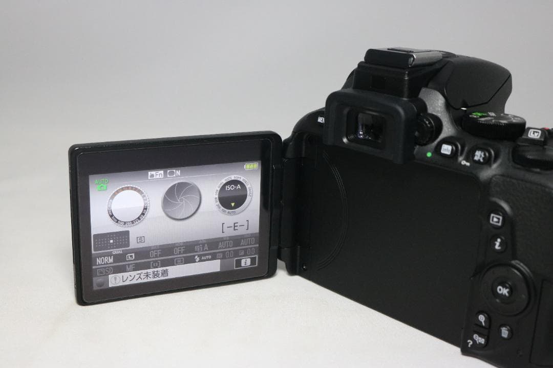 シリーズ最新⭐望遠レンズセット⭐バック付き！⭐Nikon D5600 ⭐