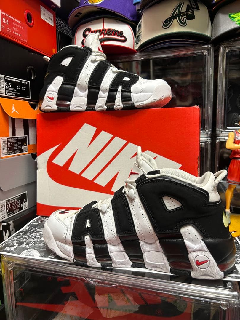 【mi726】エアモアアップテンポ スコッティピッペン ゼブラ