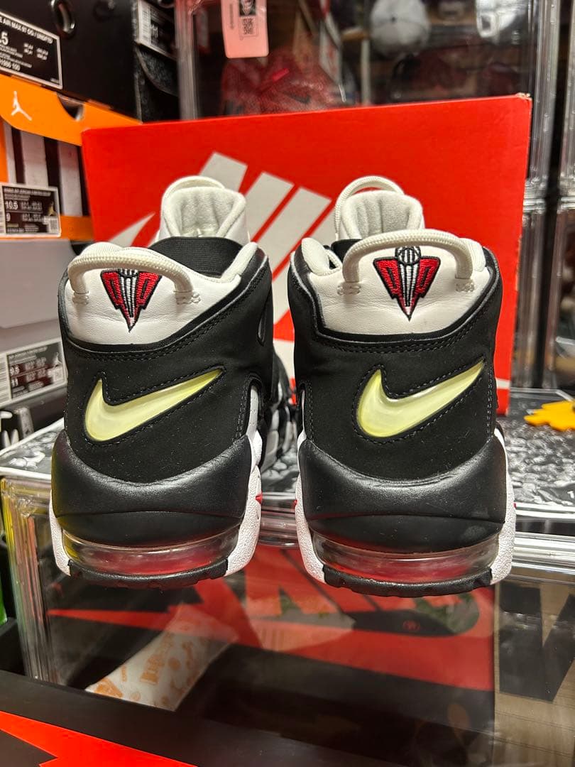 【mi726】エアモアアップテンポ スコッティピッペン ゼブラ