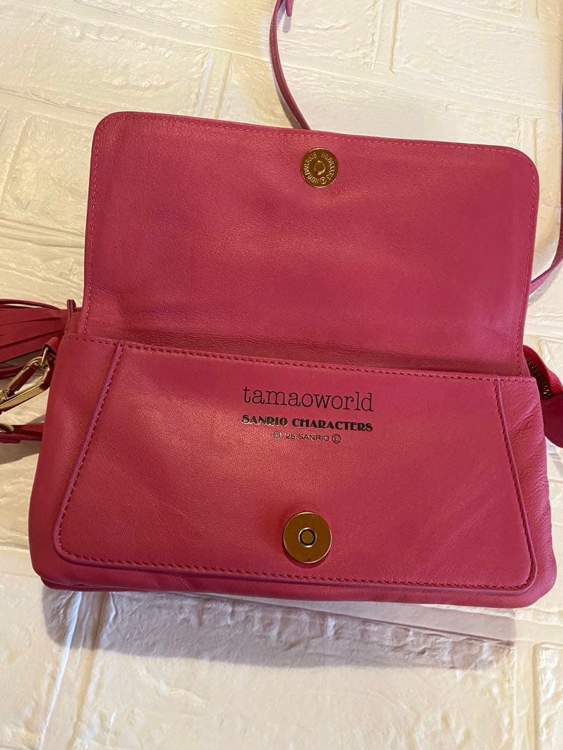 虎*丸様 ハローキティ　タマオワールド　サンリオコラボ 刺繍 お財布ポシェット