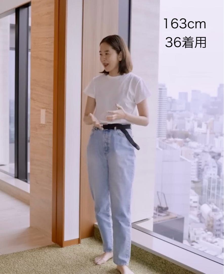 shishikui シシクイ イージー ライトインディゴ 36 美品