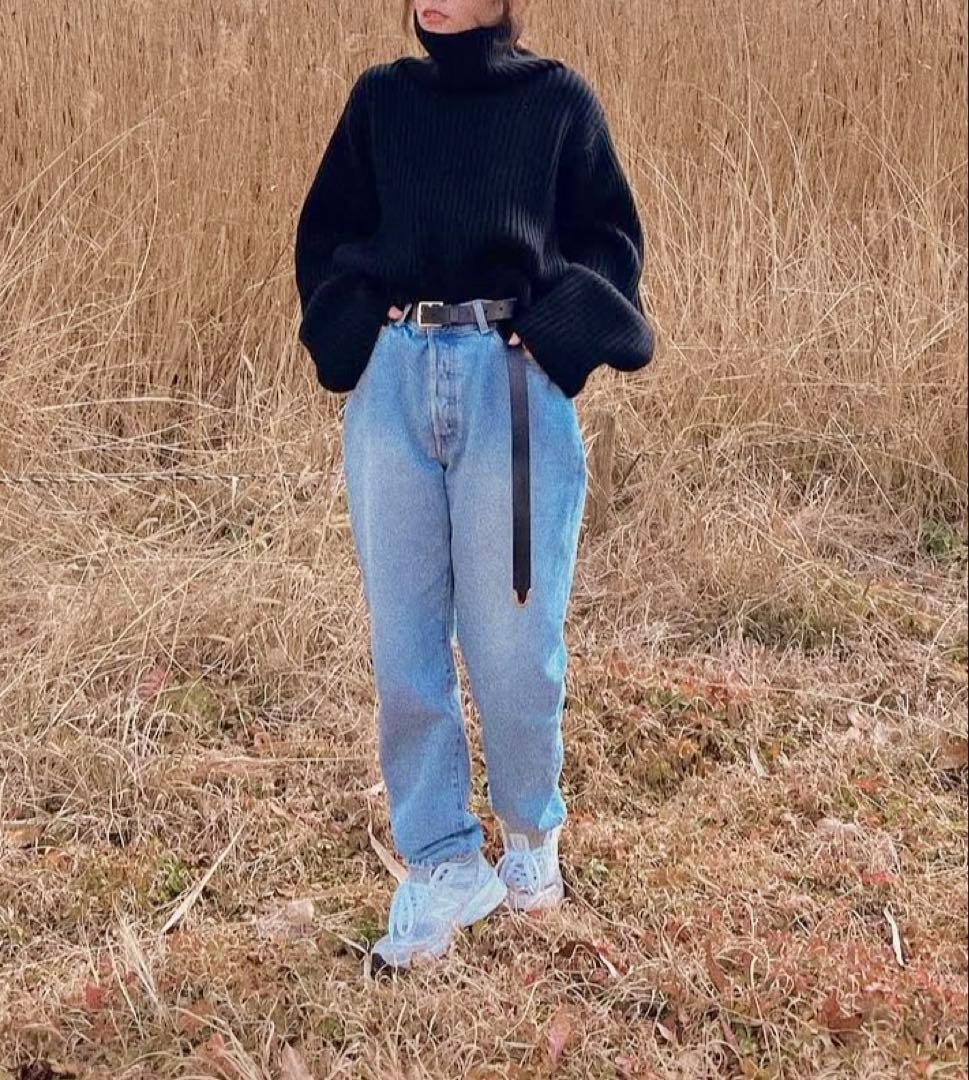 shishikui シシクイ イージー ライトインディゴ 36 美品