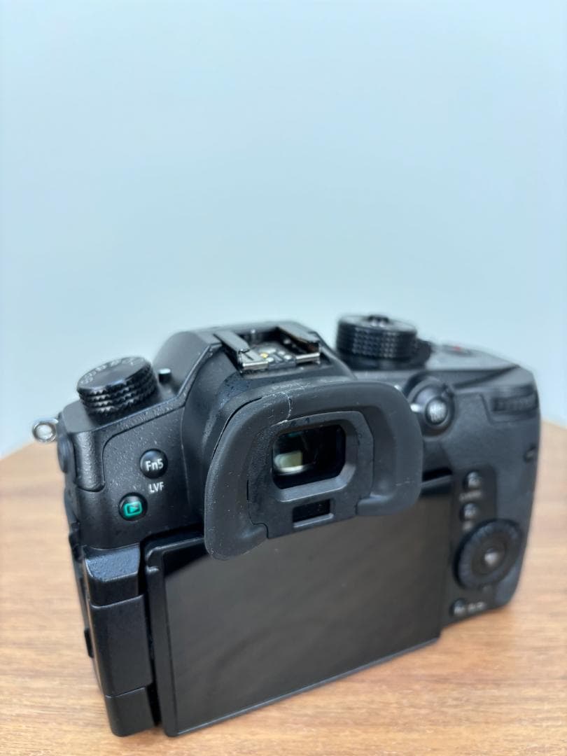 Panasonic LUMIX GH5ボディ DC-GH5