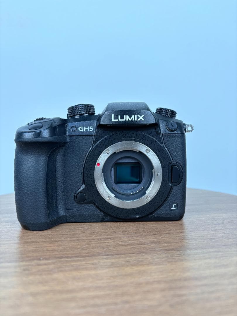Panasonic LUMIX GH5ボディ DC-GH5