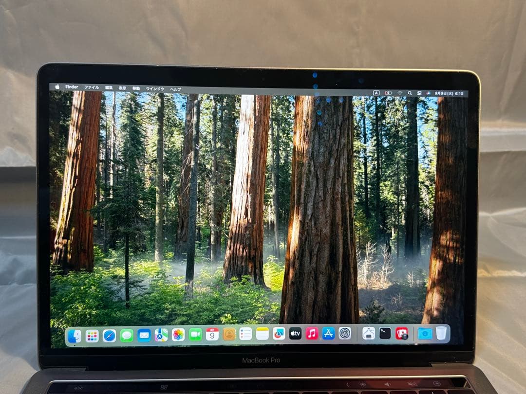 MacBook Pro 13インチ A1989 i5/16GB/500GB