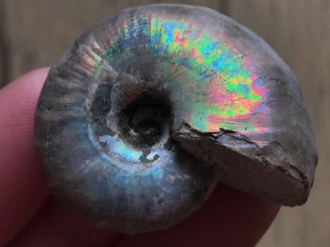 taro様 リクエスト 7点 まとめ商品