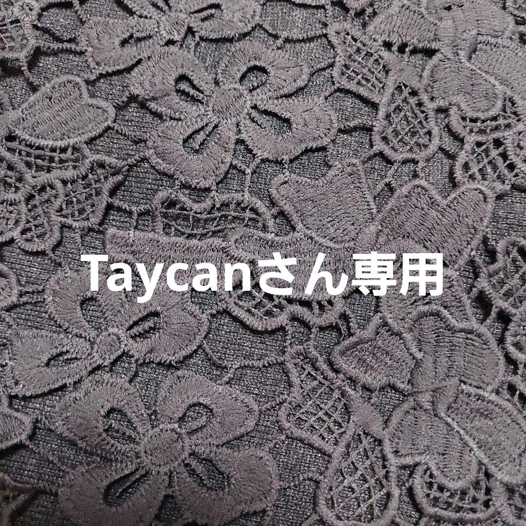 Taycanさん専用♥IRIS OHYAMA 高圧回転ブラシ FKKBオプション