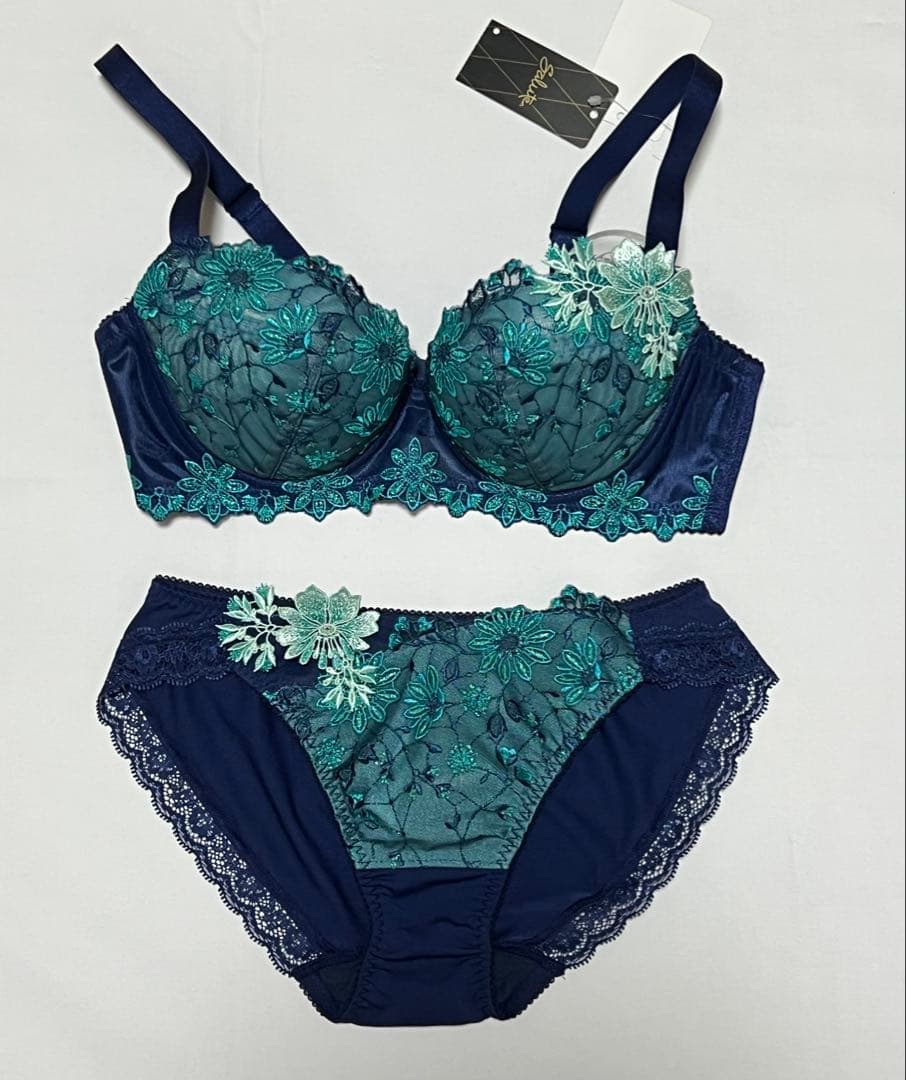 ワコール　サルート　ブラジャーD70とショーツMのセット　新品タグ付き